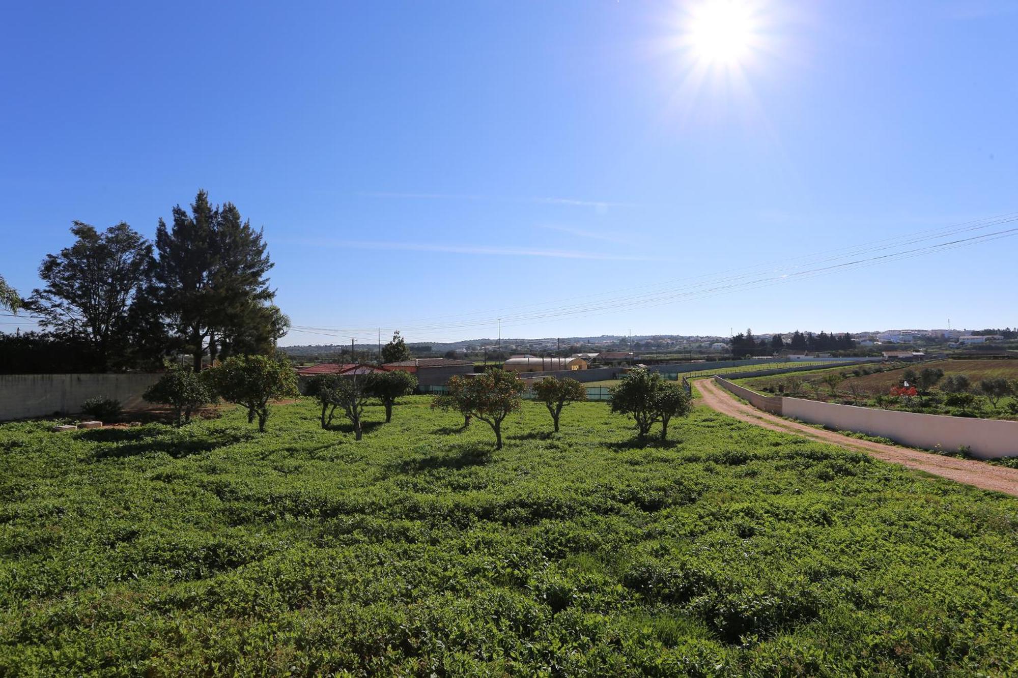 Quinta Da Ponte Appartement